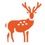 cerf symbole 101